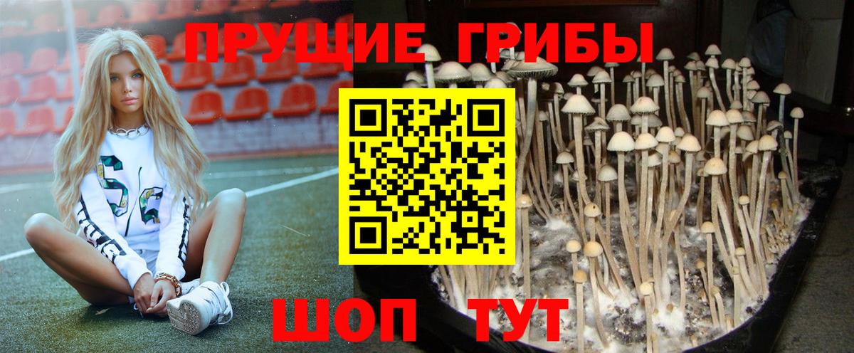 Псилоцибиновые грибы мицелий  Вход с VPN  Наро-Фоминск 